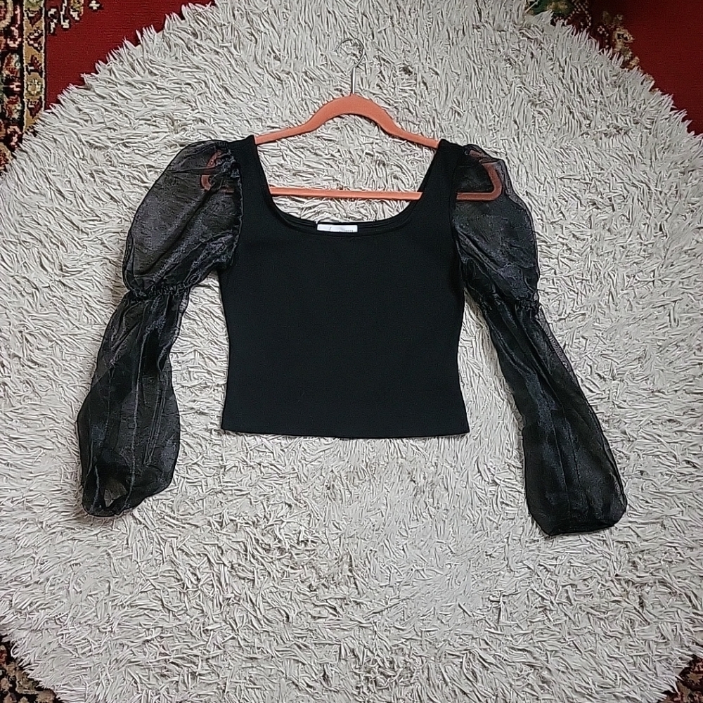 Lounge Blouse Crop Top Coquette Sheer Puff Sleeves Romantic Black Size XS ✨️💫